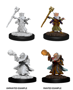 Pathfinder Unpainted Minis - Gnome Male Druid