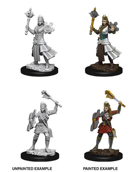 D&D Nolzurs Marvelous Unpainted Miniatures Female Human Cleric - The Gaming Verse