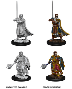 D&D Nolzurs Marvelous Unpainted Miniatures Male Hu - The Gaming Verse