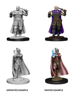 D&D Nolzurs Marvelous Unpainted Miniatures Human Ranger & Moon Elf Sorcerer - The Gaming Verse