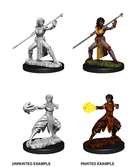 D&D Nolzurs Marvelous Unpainted Miniatures Female Half-Elf Monk - The Gaming Verse