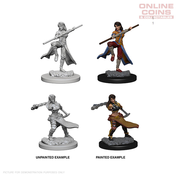 D&D Nolzurs Marvelous Unpainted Miniatures Human Female Monk - The Gaming Verse